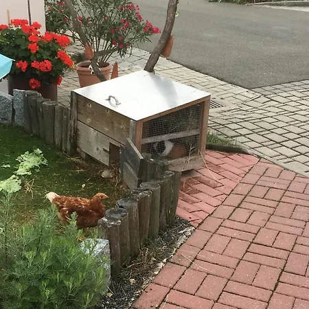 Holiday home Komfortables Im Bayerischen Wald Am Alpakahof Mit Saunahaus Waldmuenchen