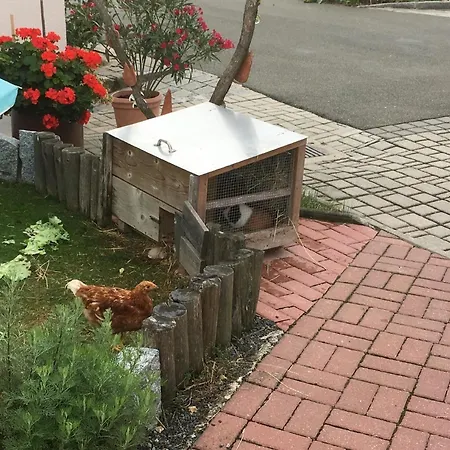 Komfortables Im Bayerischen Wald Am Alpakahof Mit Saunahaus Σπίτι διακοπών *